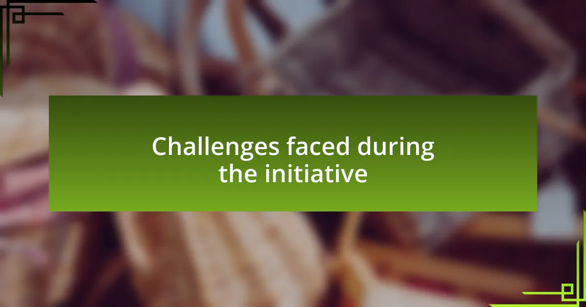 Challenges faced during the initiative