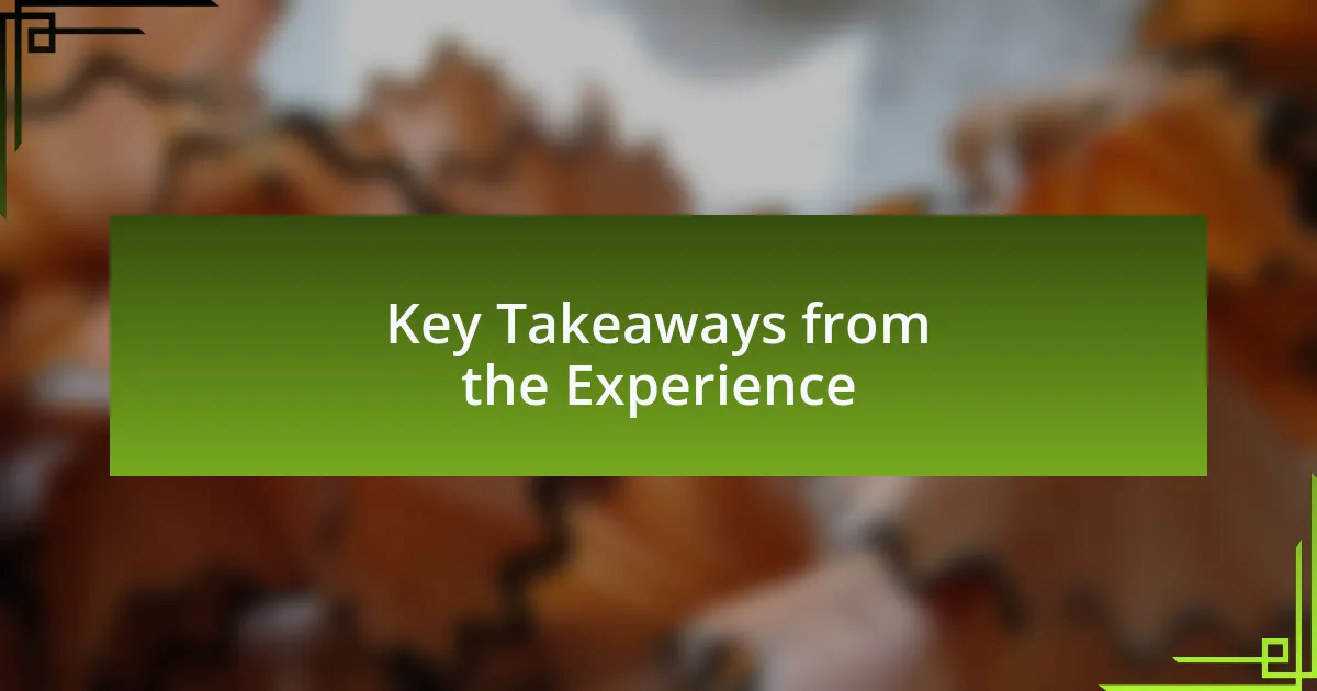 Key Takeaways from the Experience