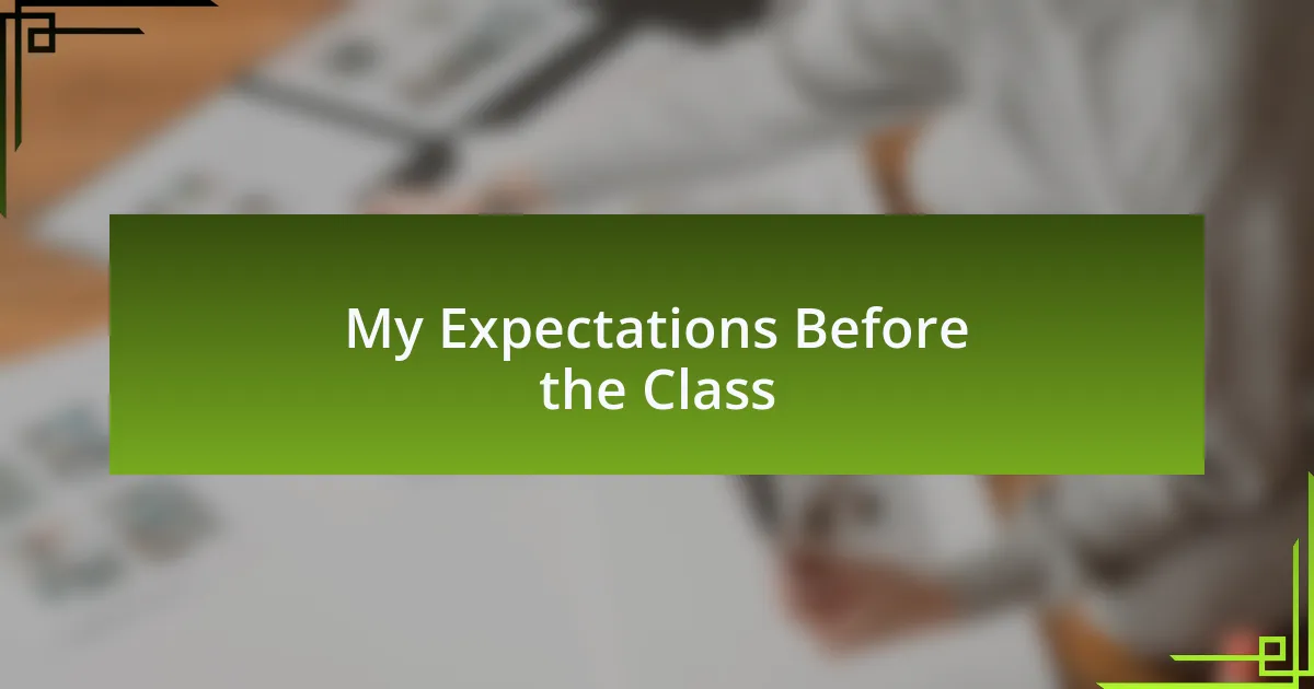 My Expectations Before the Class