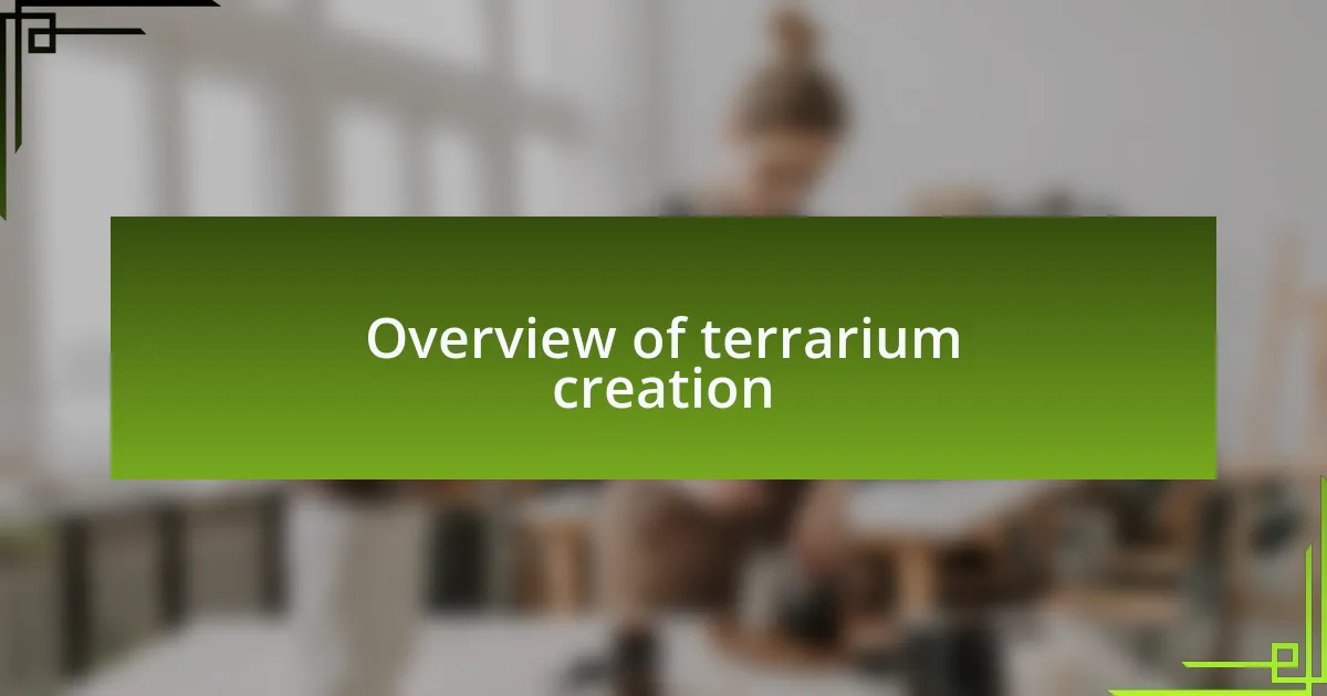 Overview of terrarium creation