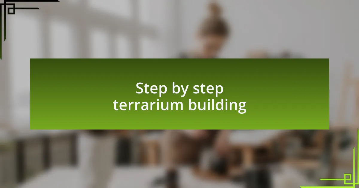 Step by step terrarium building
